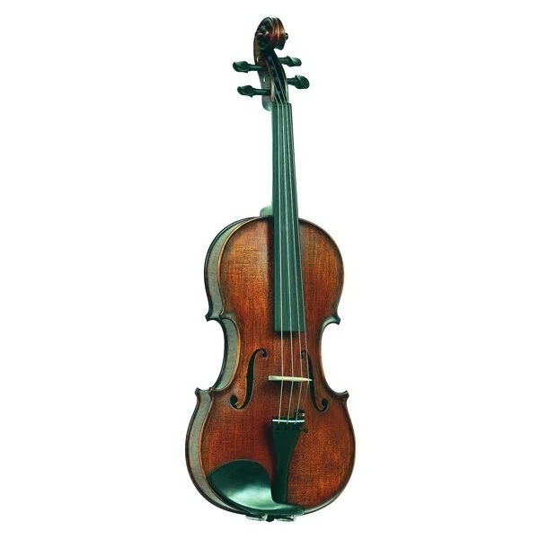 Скрипка Gliga Gems1 AW-V018-S