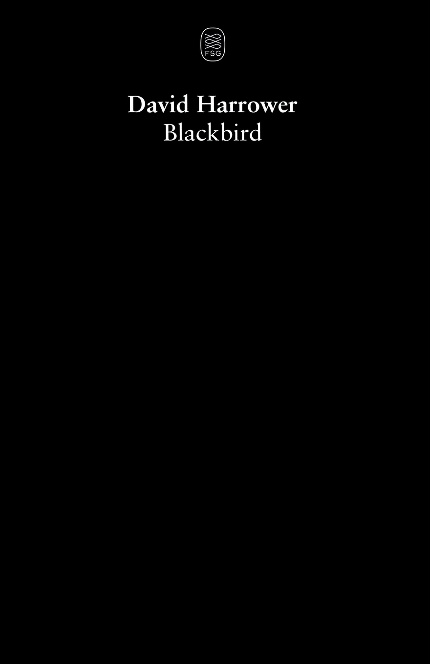 

Blackbird
