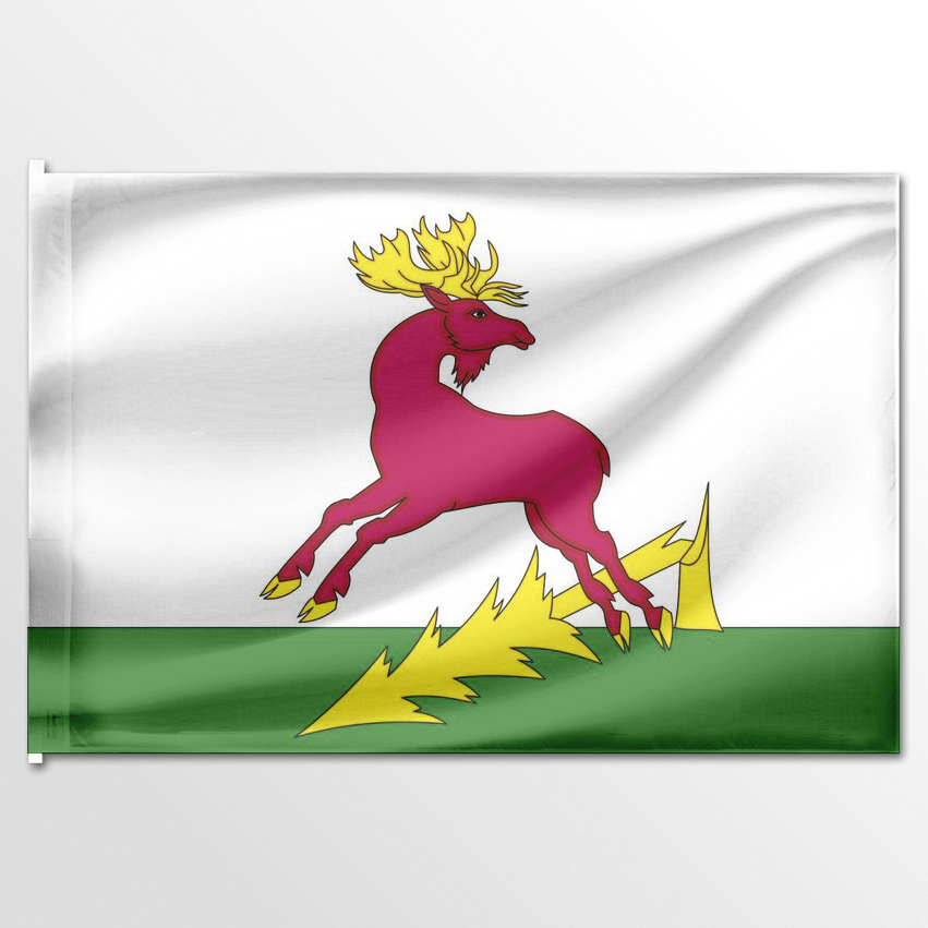 

Флаг ЦТП ФЕНИКС Алексеевского района Татарстан 135x90 см, 3258-135x90