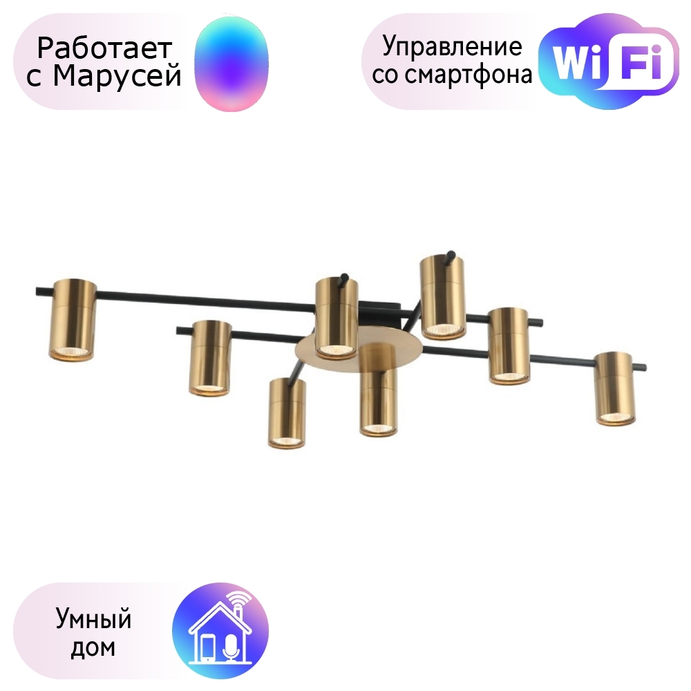 

Потолочная люстра Favourite Topper с поддержкой Маруся 2827-8P-М