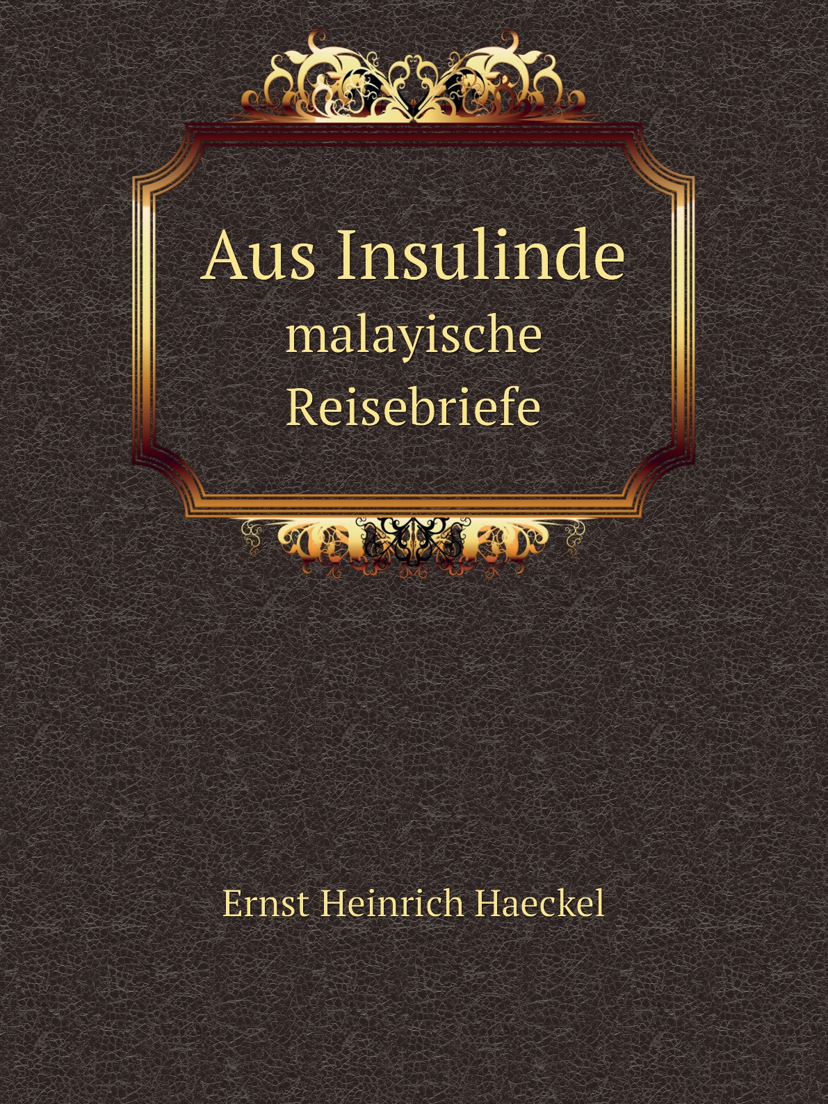 

Aus Insulinde