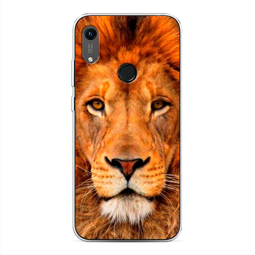 

Чехол на Huawei Y6 2019 "Благородный лев", Оранжевый, 611550-1