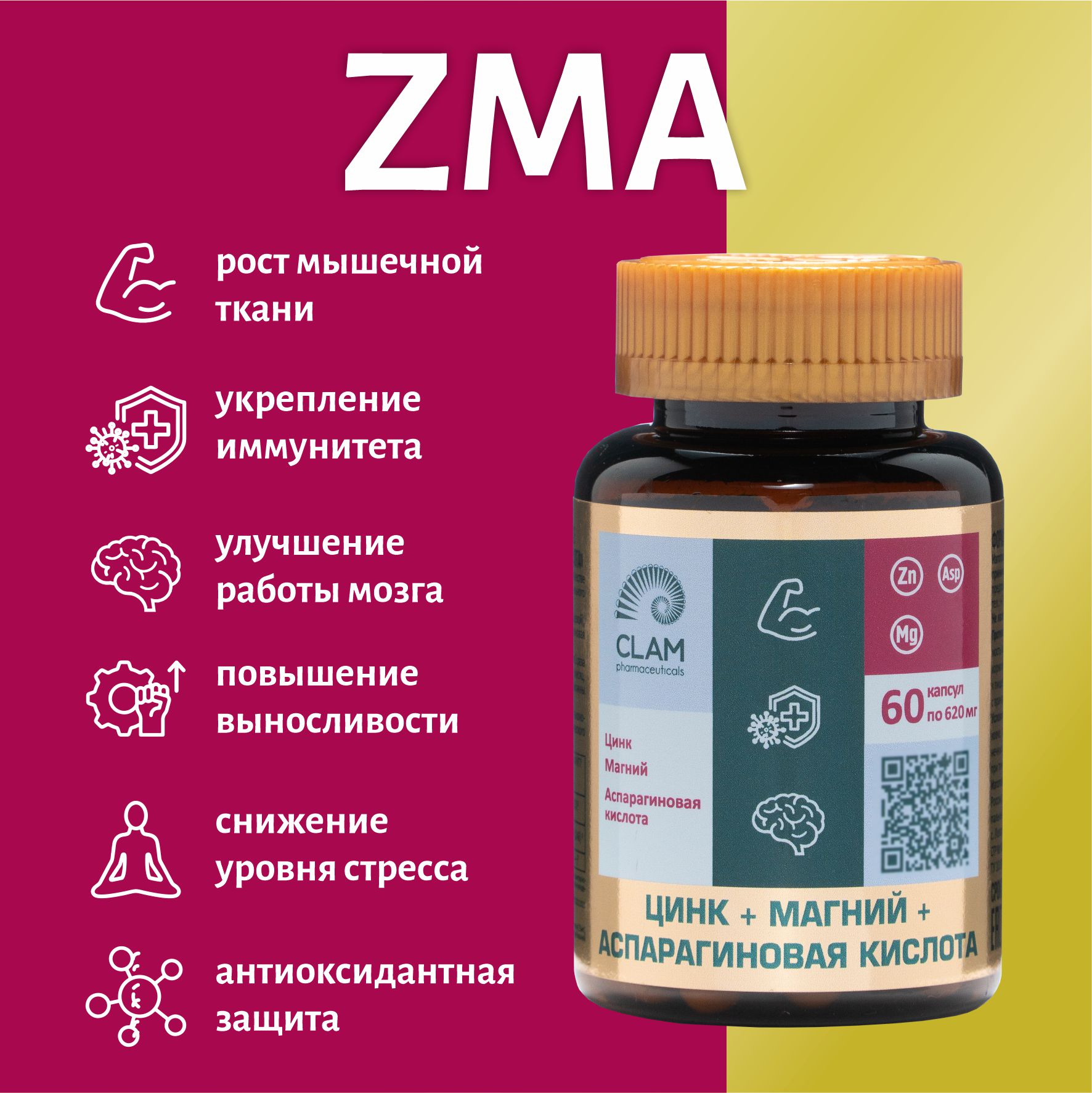 Цинк + Магний + Аспарагиновая кислота ClamPharm, 60 капсул