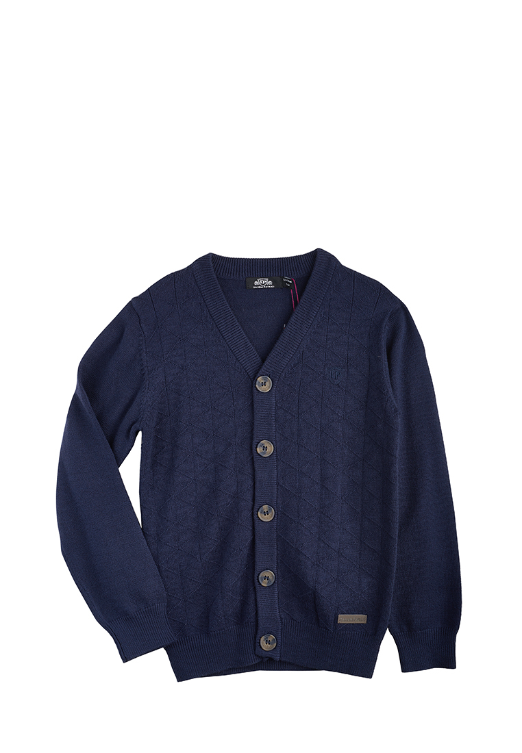 

Кардиган детский Daniele patrici AW20SG21_1 синий р.128, AW20SG21_1