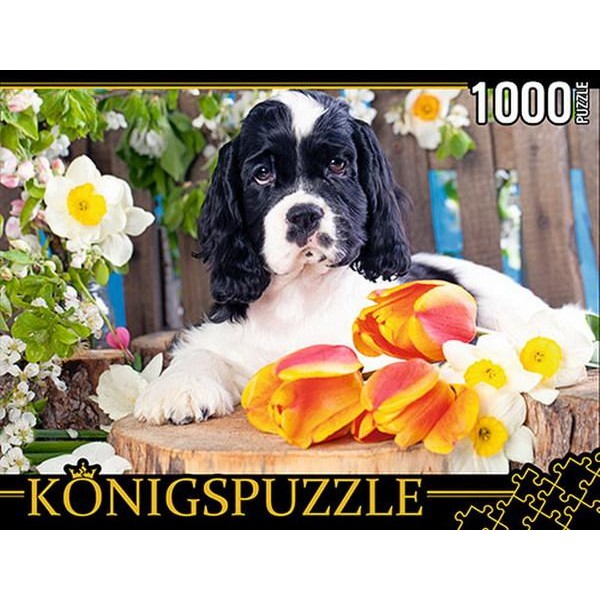 

Пазл Konigspuzzle Щенок спаниеля 1000 дет, РА-00005356