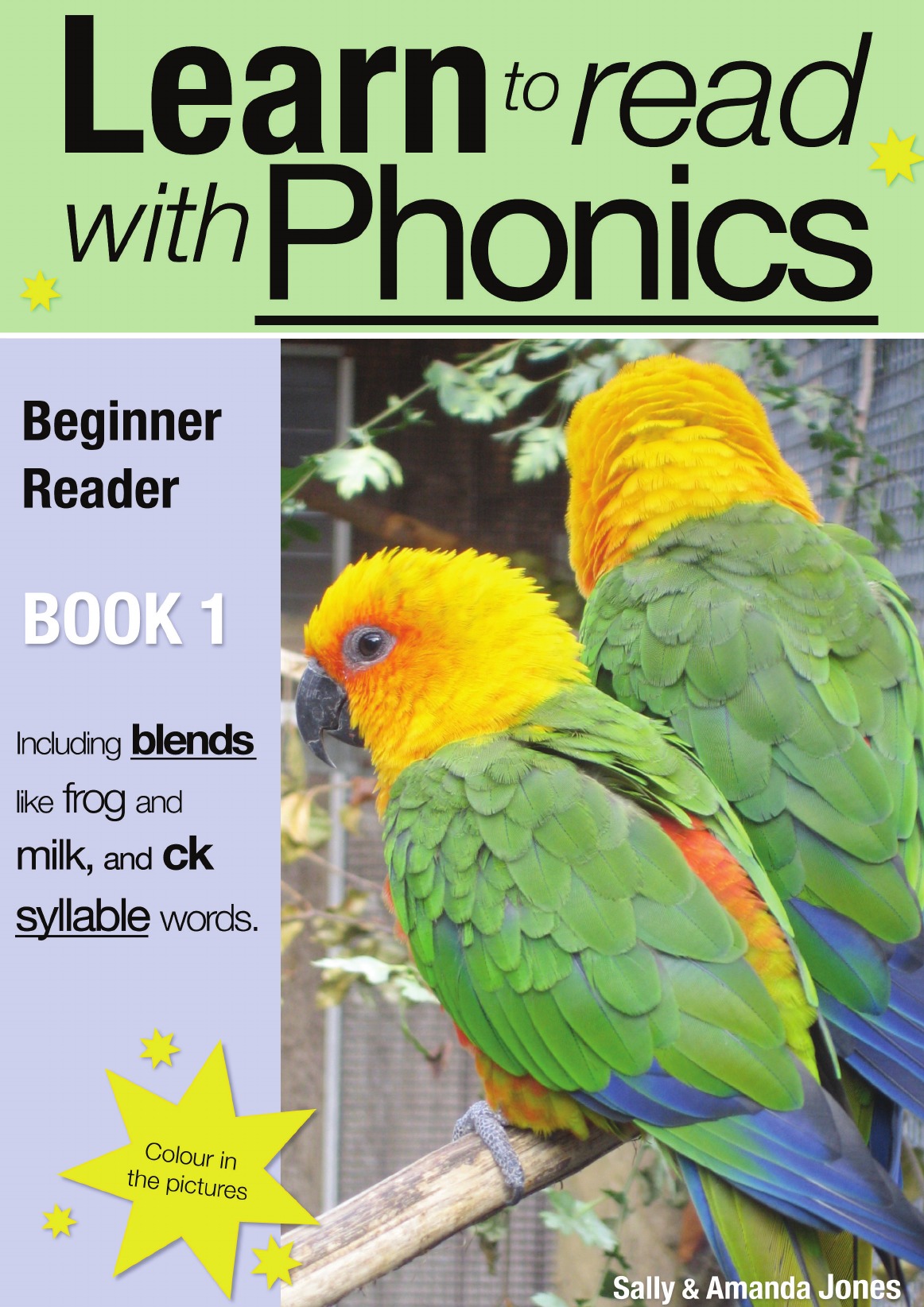 

Learn To Read Rapidly With Phonics