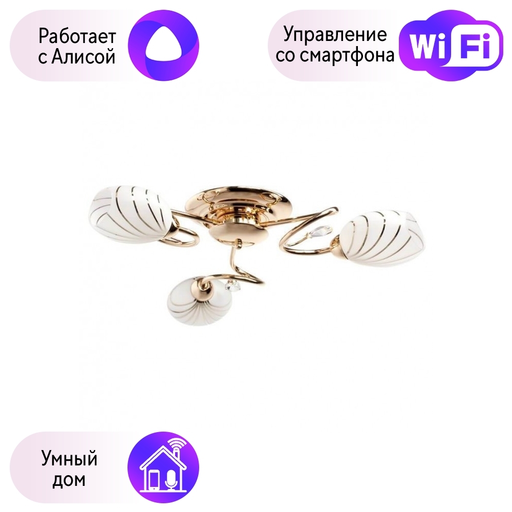 Потолочная люстра MW-Light Фиеста с поддержкой Алиса 267012803-A