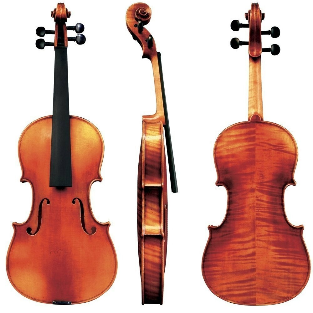 

Скрипка Gewa Maestro 6, Maestro 6