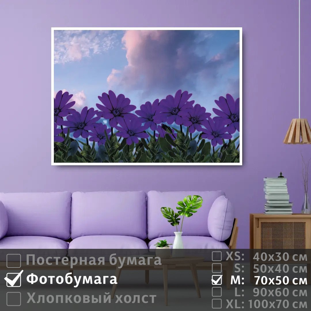 

Постер на фотобумаге ПолиЦентр Фиолетовые полевые цветы 70х50 см, ФиолетовыеПолевыеЦветы