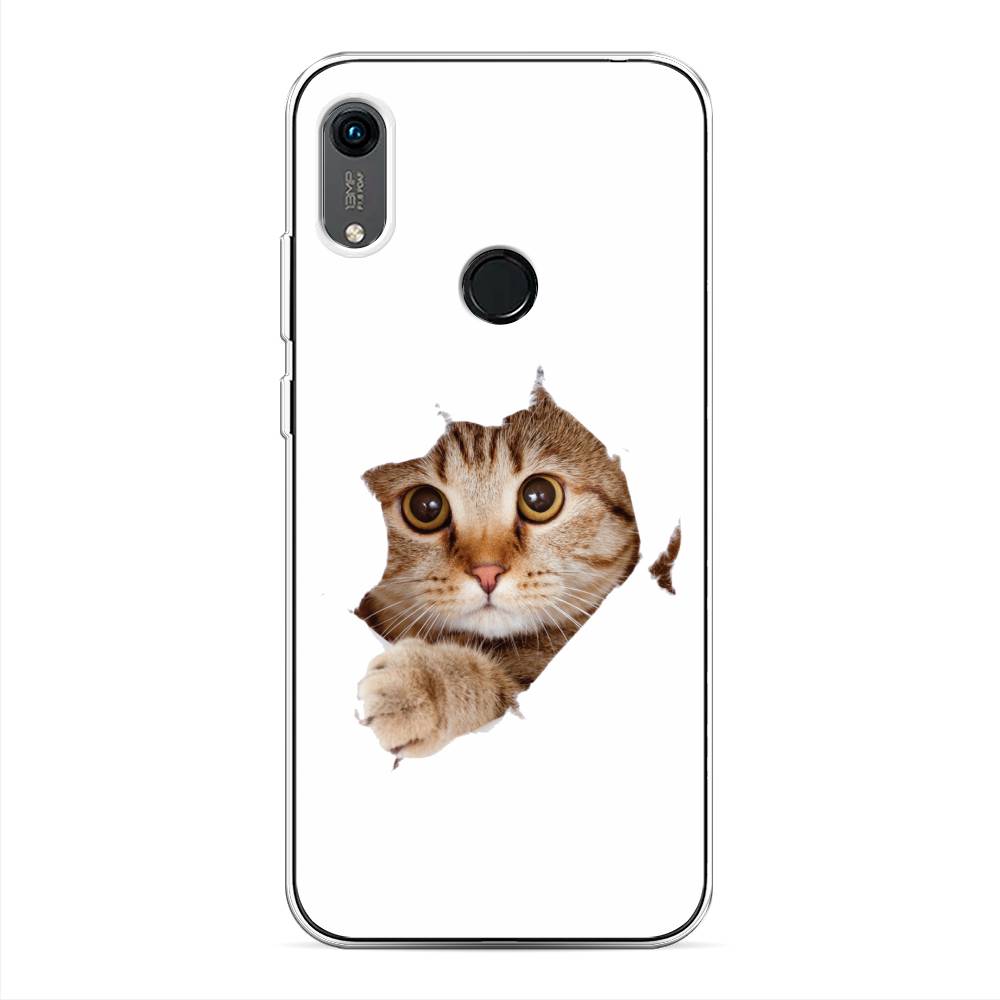 

Чехол на Huawei Y6 2019 "Кот и бумага", Белый;коричневый, 611550-1