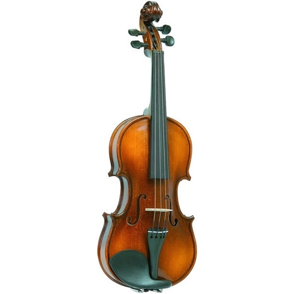 Скрипка размер 1/2 Gliga B-V012