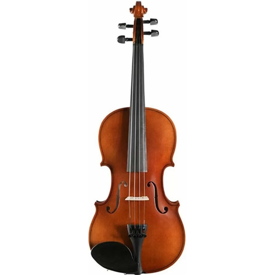 

Скрипка студенческая 1/8 Strunal 160A-1/8 Siena, 160A-1/8 Siena
