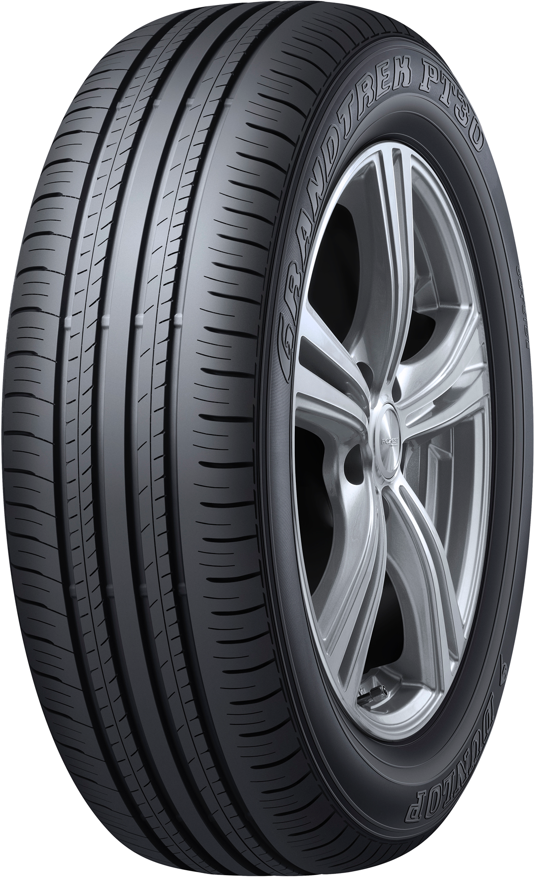 

Шины Dunlop Grandtrek PT30 225/65R17 102H