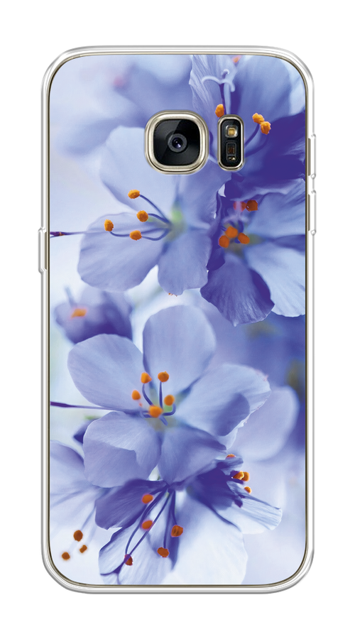 

Чехол на Samsung Galaxy S7 "Фиолетовые цветки", Фиолетовый;синий, 24550-1