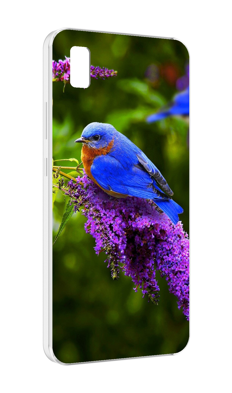 

Чехол MyPads Птица-сиреневая для ZTE BLADE L210, Прозрачный, Tocco
