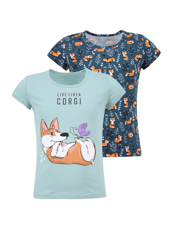 

Футболки детские Апрель 2866001н110Р1, зеленый+лисички на синем Корги, 50-92, 2 шт, Разноцветный, 2866001н110Р1