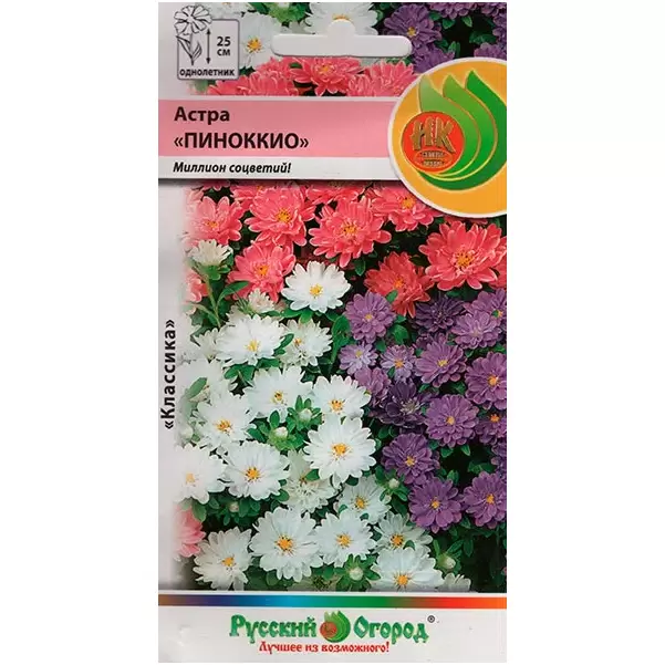 

Семена астра Пиноккио смесь, Русский Огород, art0015-psams4282, 5шт