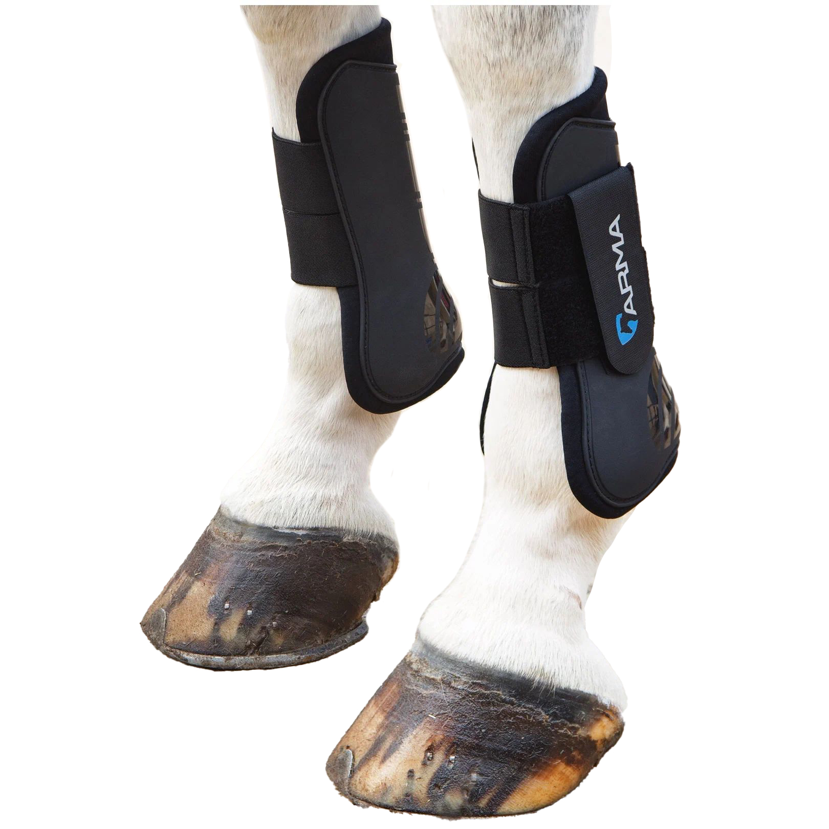 

SHIRES SHIRES ARMA Ногавки передние для лошади, PONY, чёрные, пара