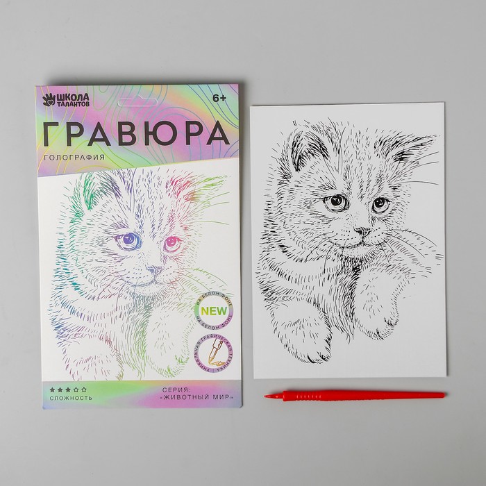 

Школа талантов Пушистый котенок, A5, с металлическим голографическим эффектом, Пушистый котенок, A5, с металлическим голографическим эффектом