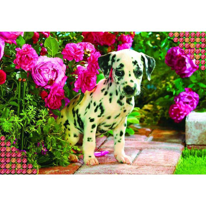 

Школа талантов с полным заполнением Далматинец, 22х32 см, с полным заполнением "Далматинец", 22х32 см