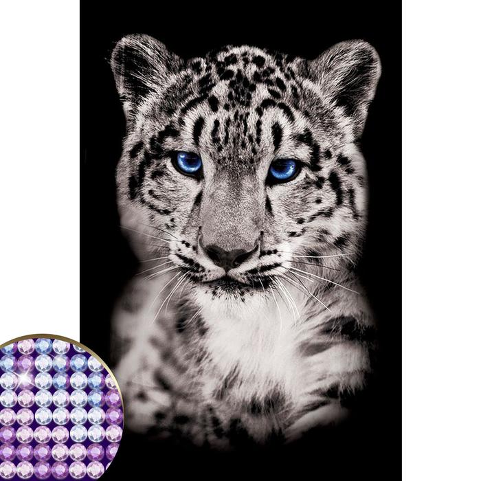 

Школа талантов с частичным заполнением, Снежный барс, 20х30 см, на холсте, с частичным заполнением, Снежный барс, 20х30 см, на холсте