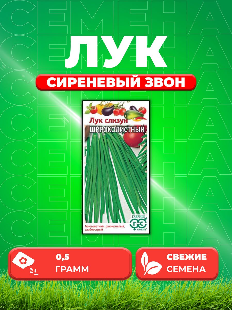 

Семена Лук слизун Широколистный 0,5 г