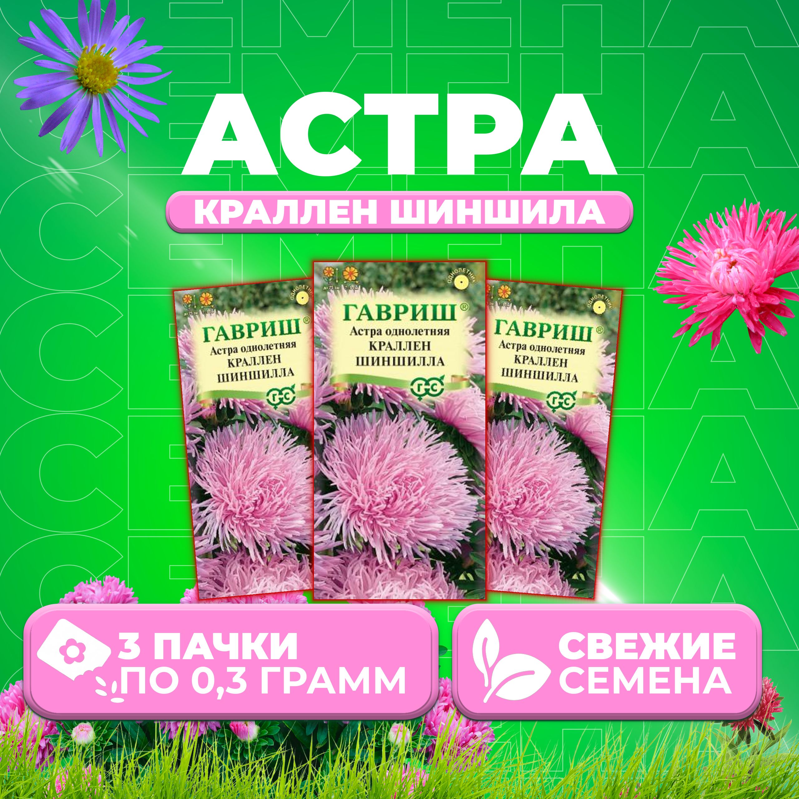 

Семена Астра Краллен Шиншилла, коготковая, 0,3г, Гавриш, Цветочная коллекция 3 уп