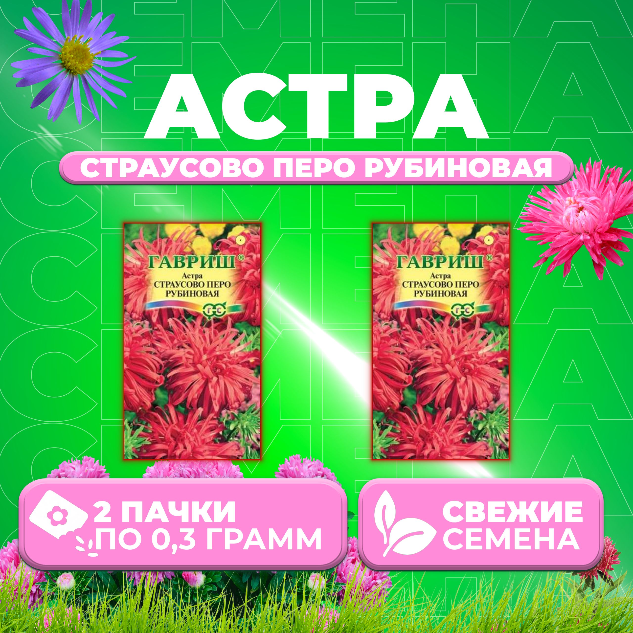 

Семена Астра Страусово перо рубиновая, 0,3г, Гавриш, Цветочная коллекция 2 уп