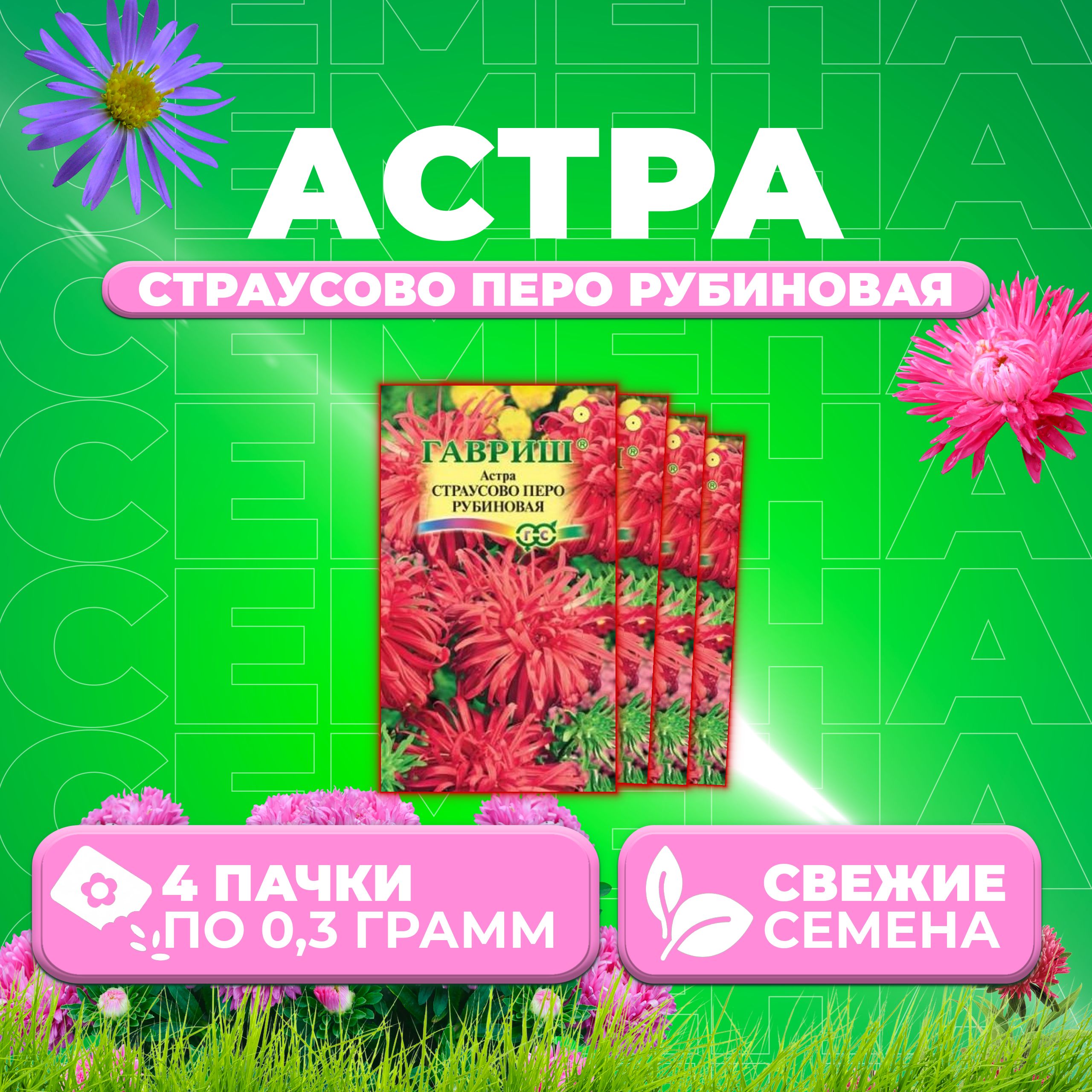 

Семена Астра Страусово перо рубиновая, 0,3г, Гавриш, Цветочная коллекция 4 уп