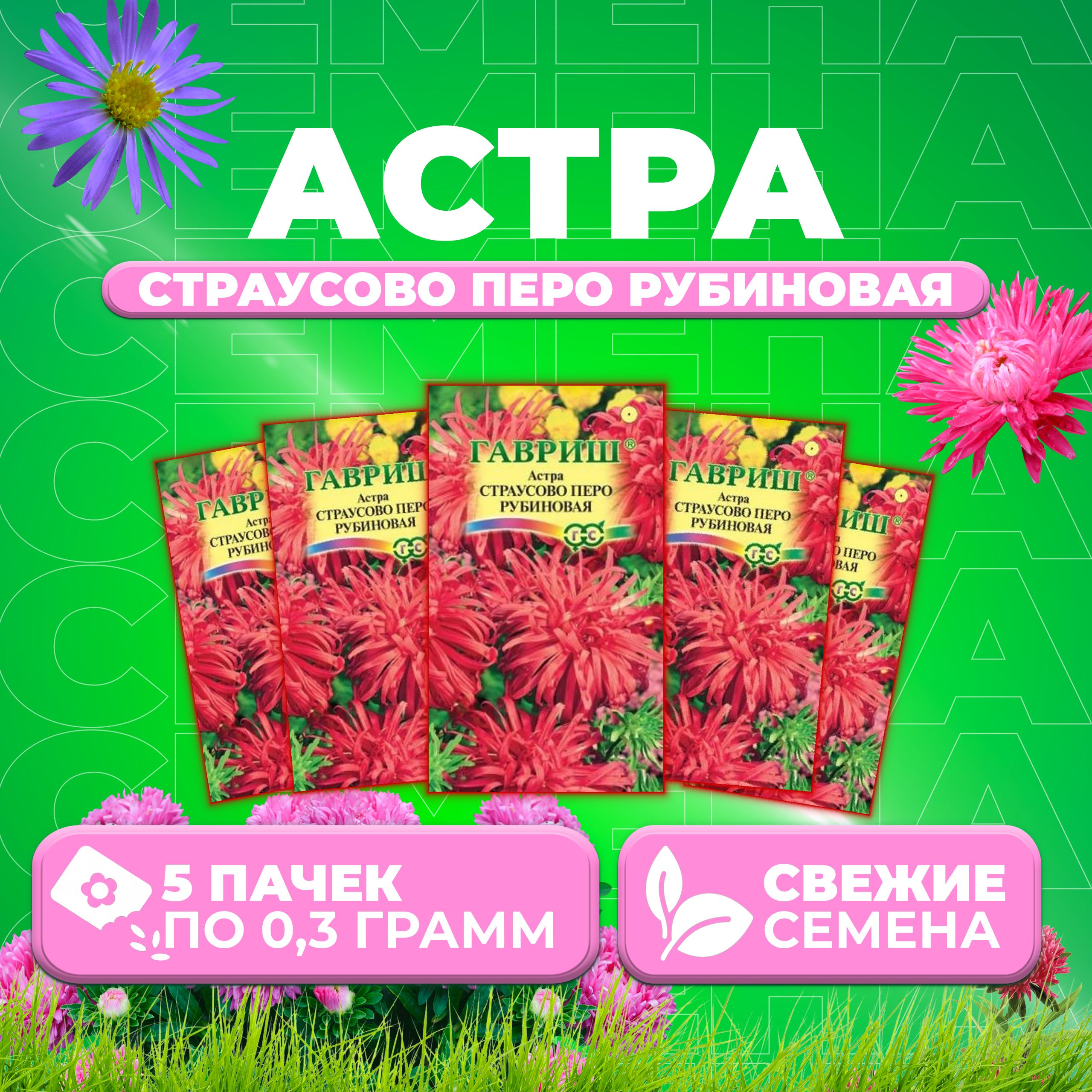 

Семена Астра Страусово перо рубиновая, 0,3г, Гавриш, Цветочная коллекция 5 уп