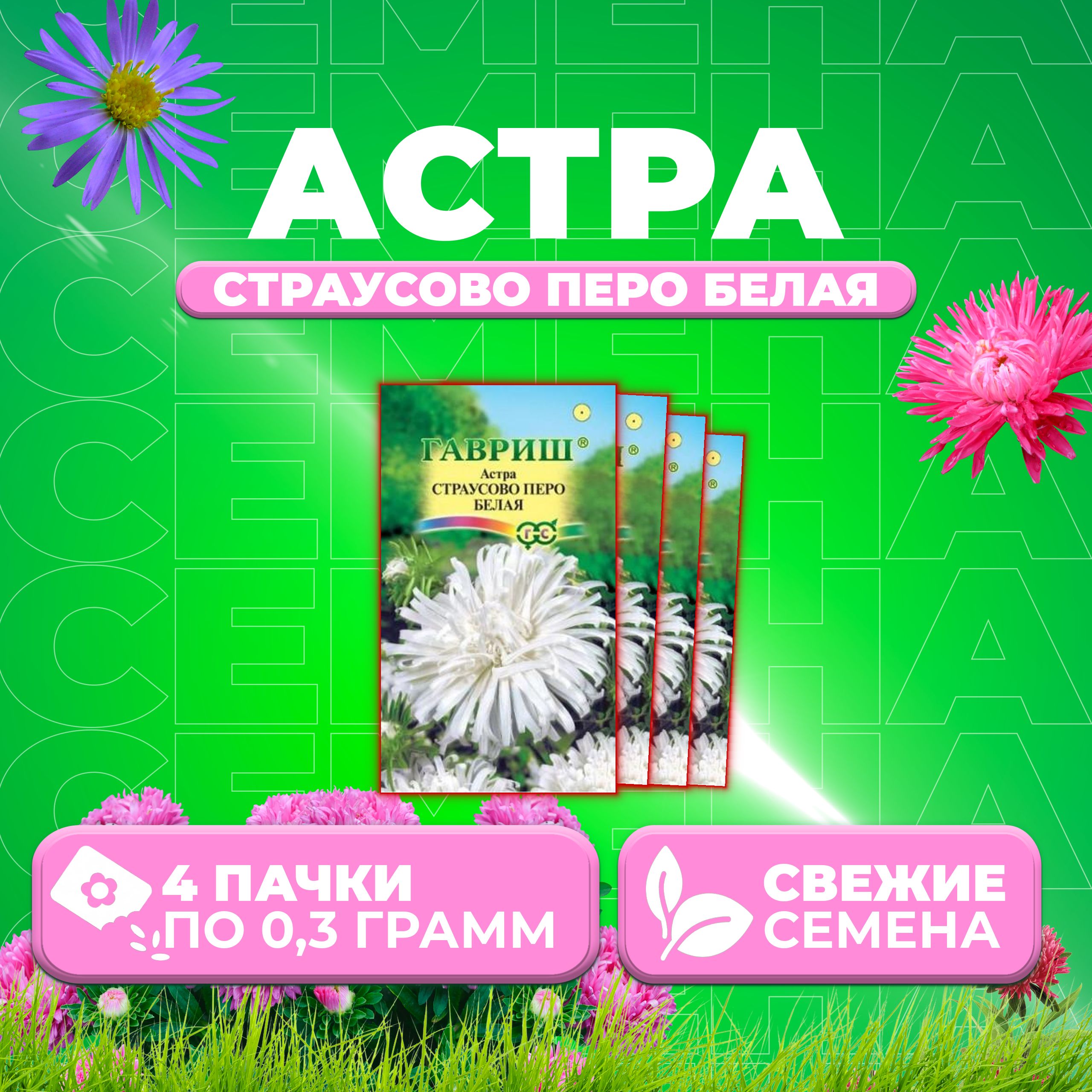 

Семена Астра Страусово перо белая, 0,3г, Гавриш, Цветочная коллекция 4 уп