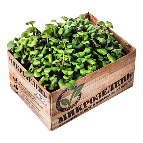 

Микрозелень Агрохолдинг Московский 200 г в ассортименте