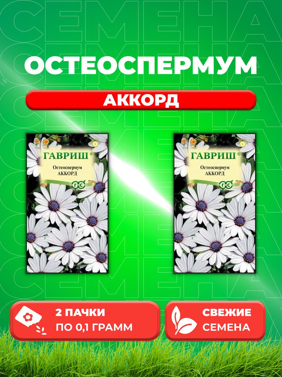 

Семена Остеоспермум Аккорд, 0,1г, Гавриш, 2уп