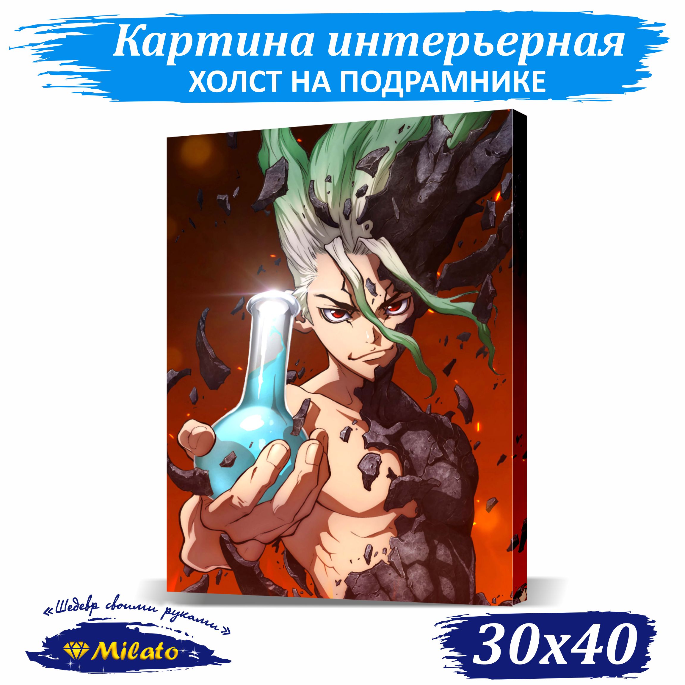 

Картина интерьерная на холсте Milato Доктор Стоун IP34-001 30x40см, Доктор Стоун