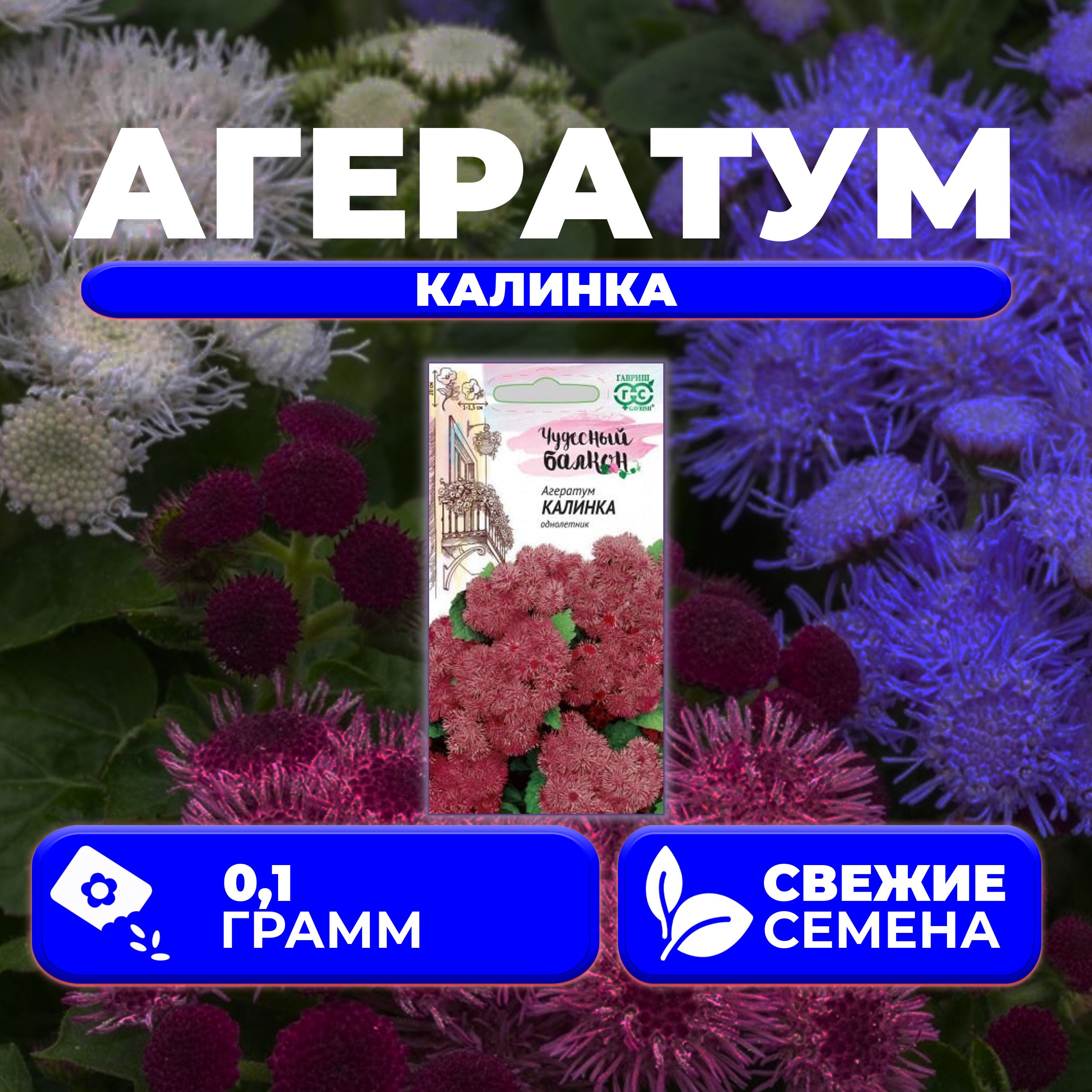 

Семена Агератум Калинка, 0,1г, Гавриш, Чудесный балкон 1 уп
