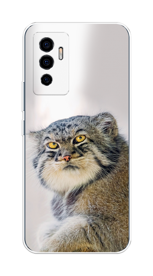 

Чехол на Vivo V23e/Y75 4G "Кот манул 1", Серый;белый;желтый, 265950-1