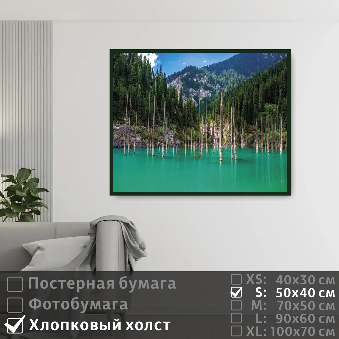 

Постер на холсте ПолиЦентр Бирюзовое озеро с сосновым лесом в горах 50х40 см, БирюзовоеОзероССосновымЛесомВГорах