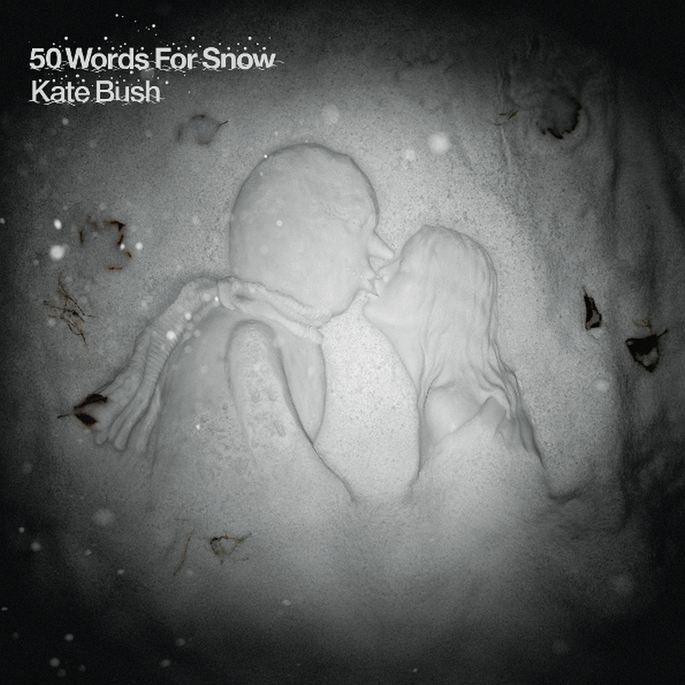 

Виниловая пластинка Kate Bush 50 Words For Snow (2LP)