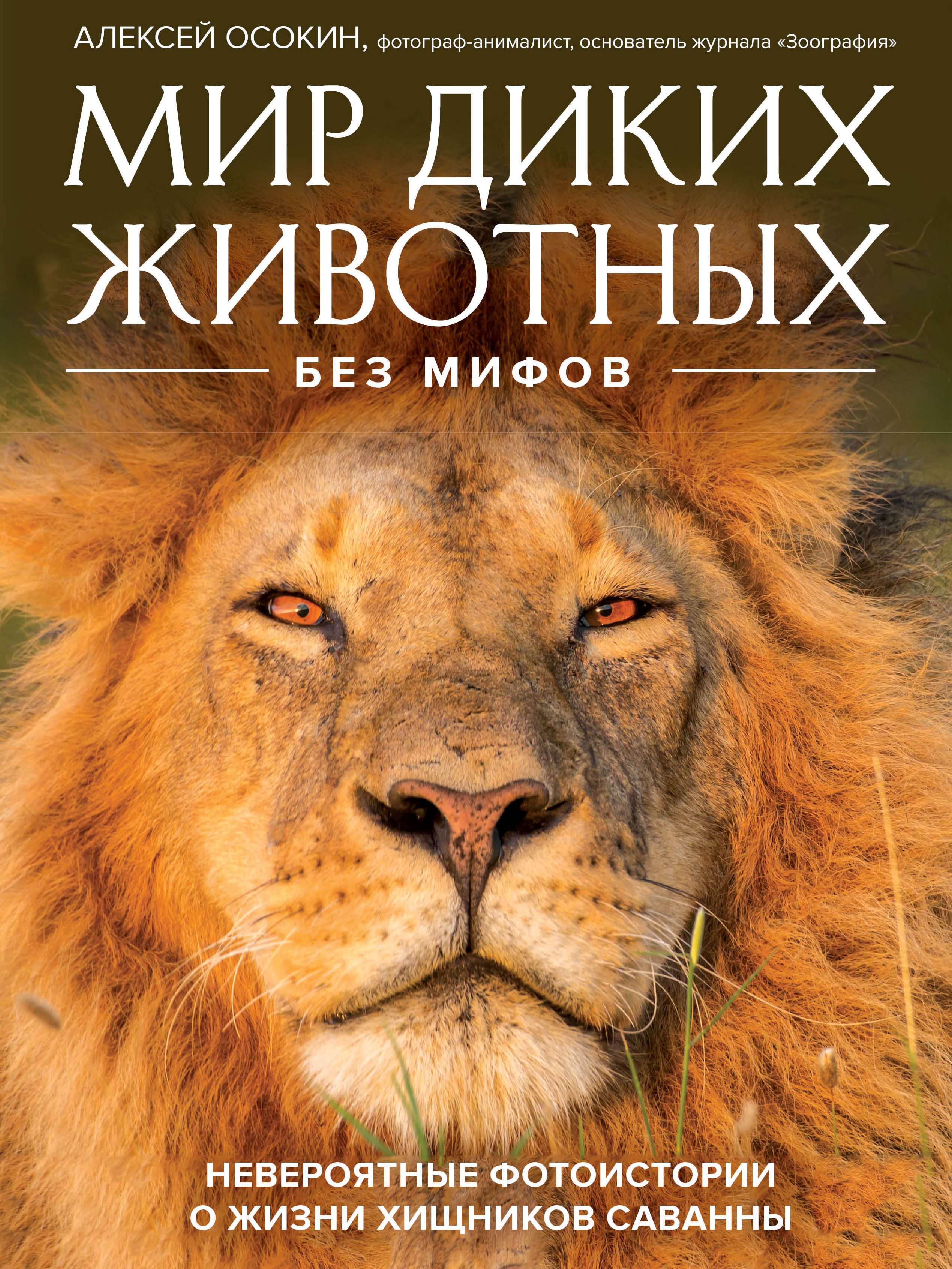 

Мир диких животных без мифов. Невероятные фото-истории о жизни хищников саванны