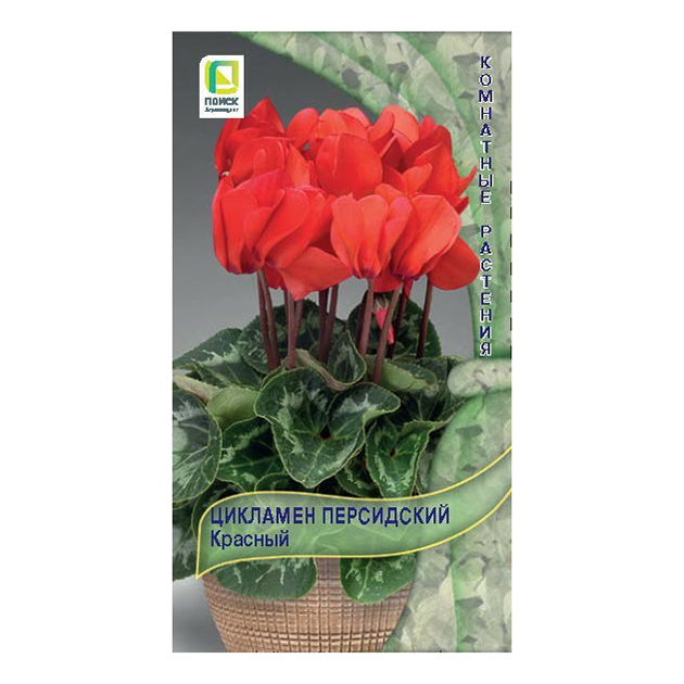 

Семена Цикламен Поиск Персидский красный 2 шт