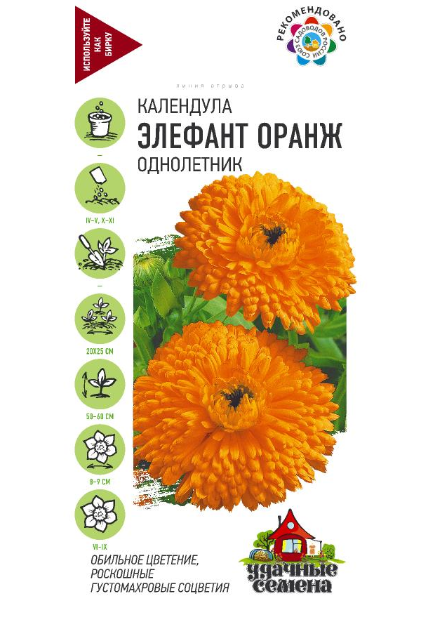 

Семена цветов календула Элефант Оранж Гавриш 0,3 г 10 шт.
