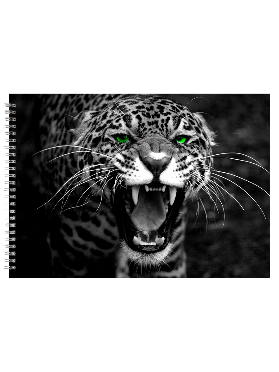 

Альбом для рисования DRABS Ягуар с зелеными глазами