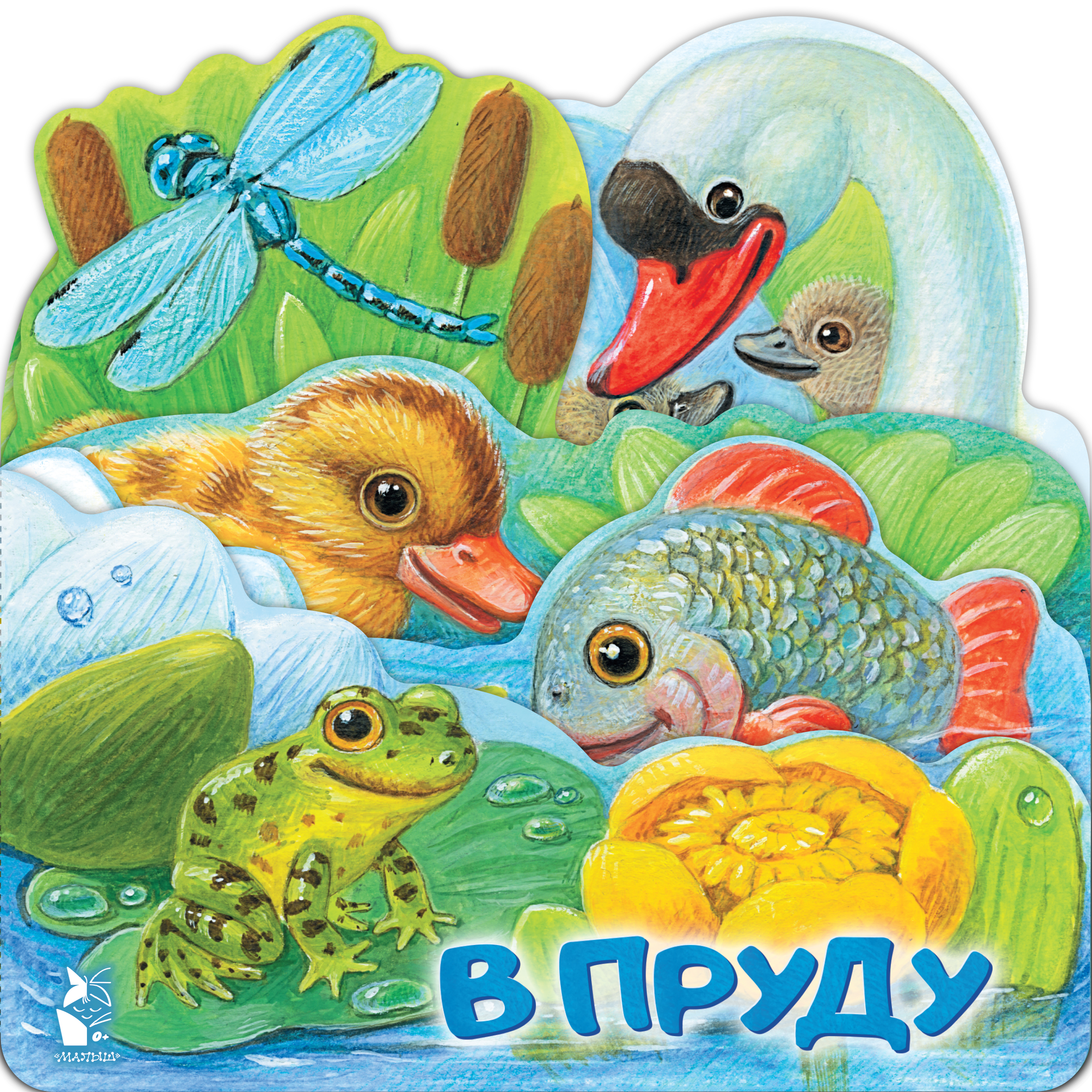 

В пруду