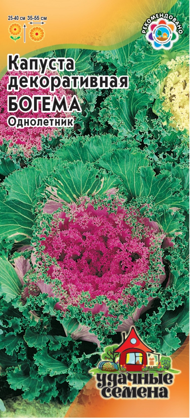 

Семена. Капуста декоративная "Богема" (10 пакетов по 0,1 г)