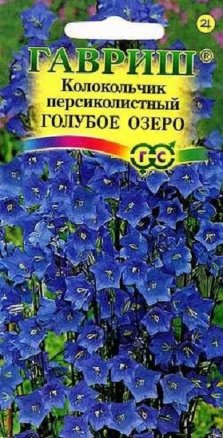 

Семена. Колокольчик "Голубое озеро", персиколистный (10 пакетов по 0,1 г)