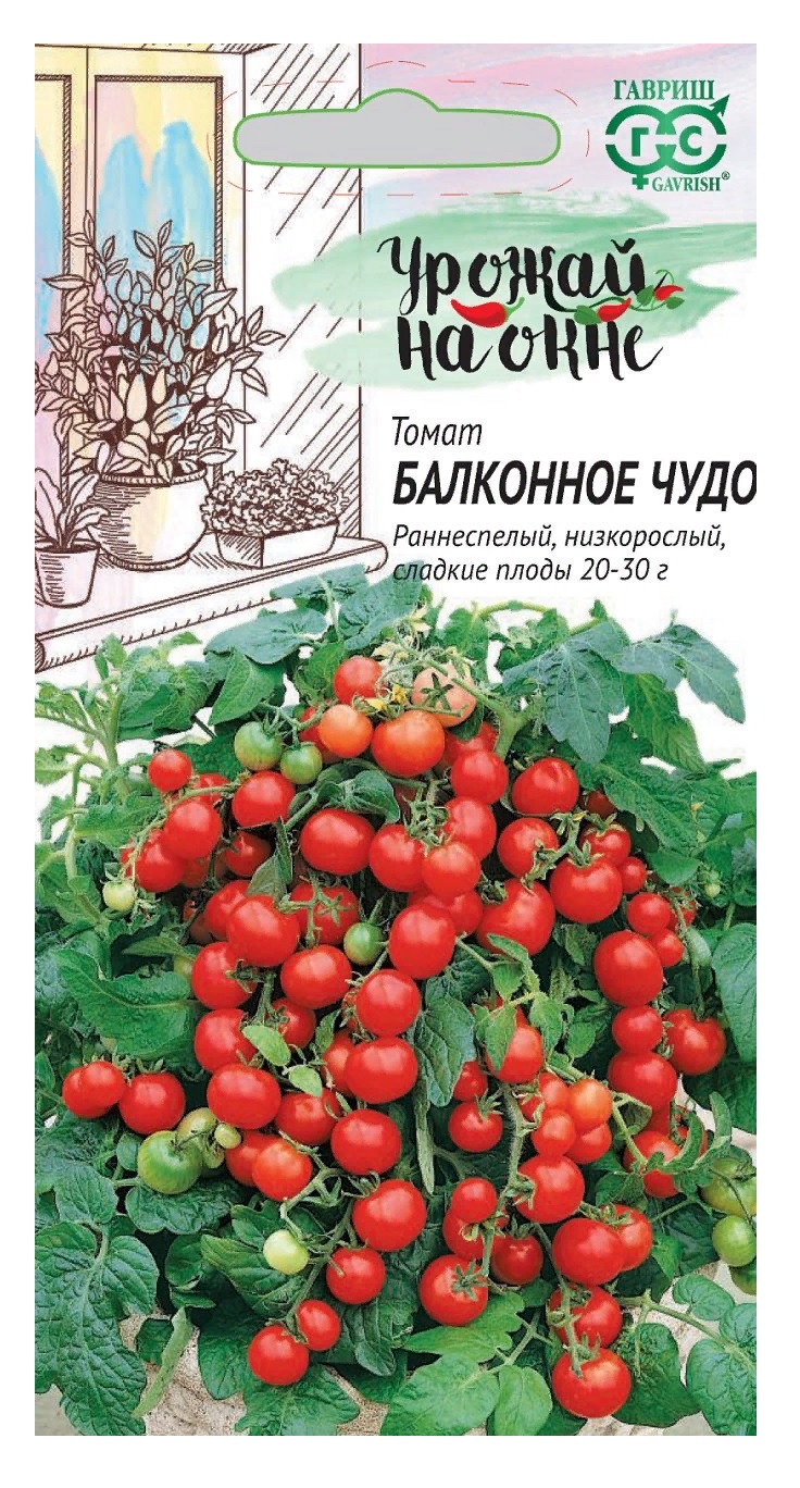 Семена томатов балконное чудо. Черри балконное чудо. Семена черри балконное чудо семена. Томат вишневидный балконное чудо. Семена томатов. Черри балконное чудо.