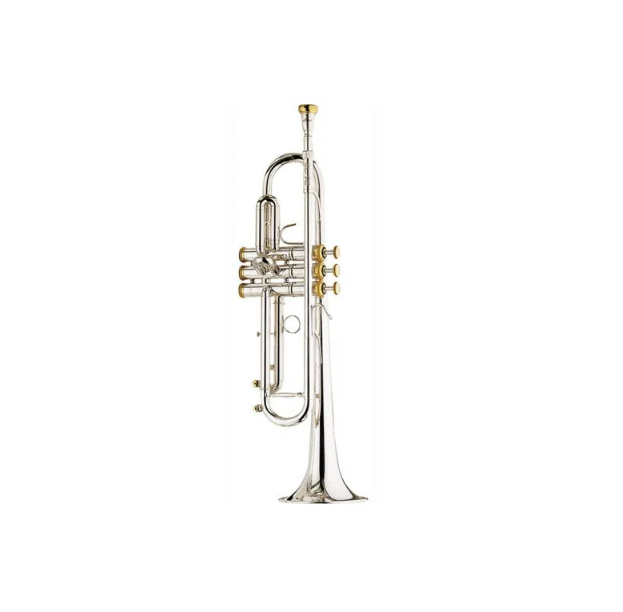 

Труба Bb Stomvi Elite 5337 330-L