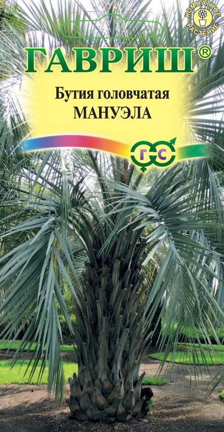 

Семена бутия головчатая Мануэла Гавриш 10 уп.