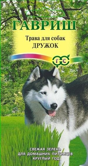 

Семена. Трава для собак "Дружок" (10 пакетов по 10 г) (количество товаров в комплекте: 10)