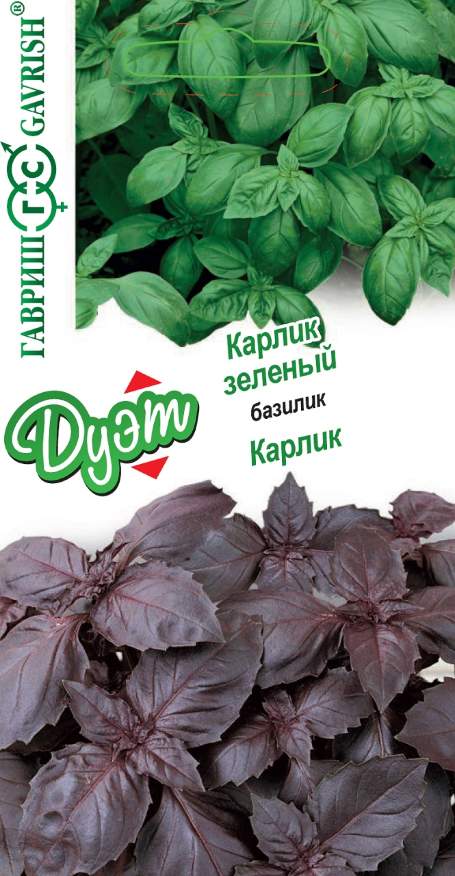 

Семена. Базилик "Карлик" + "Карлик зеленый" (10 пакетов по 0,15 г)